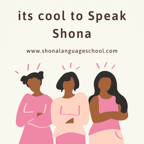 Shona for kids(A1-A2) 10 Lessons Package